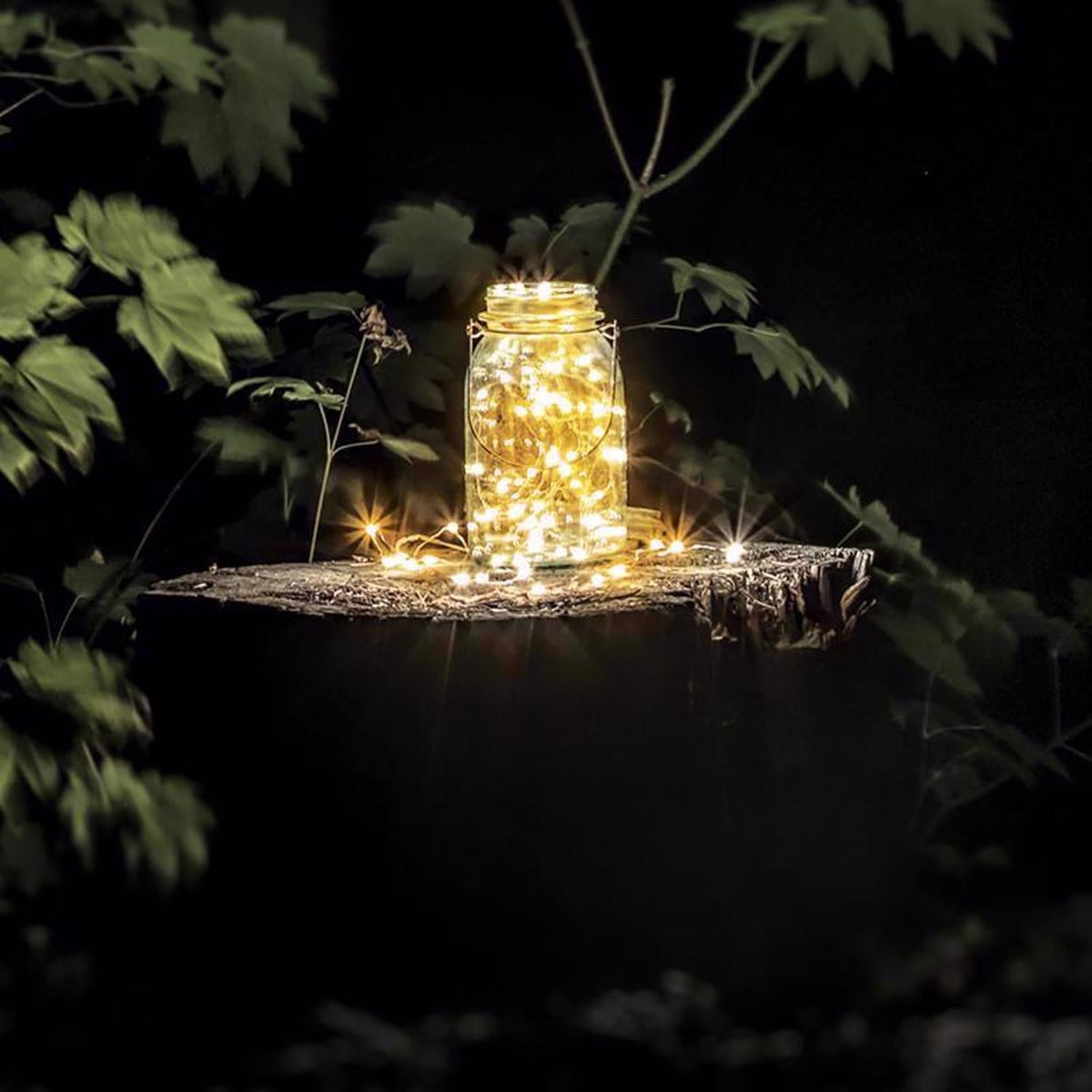 Warm-white fairy lights filling a glass mason jar on a tree stump at night