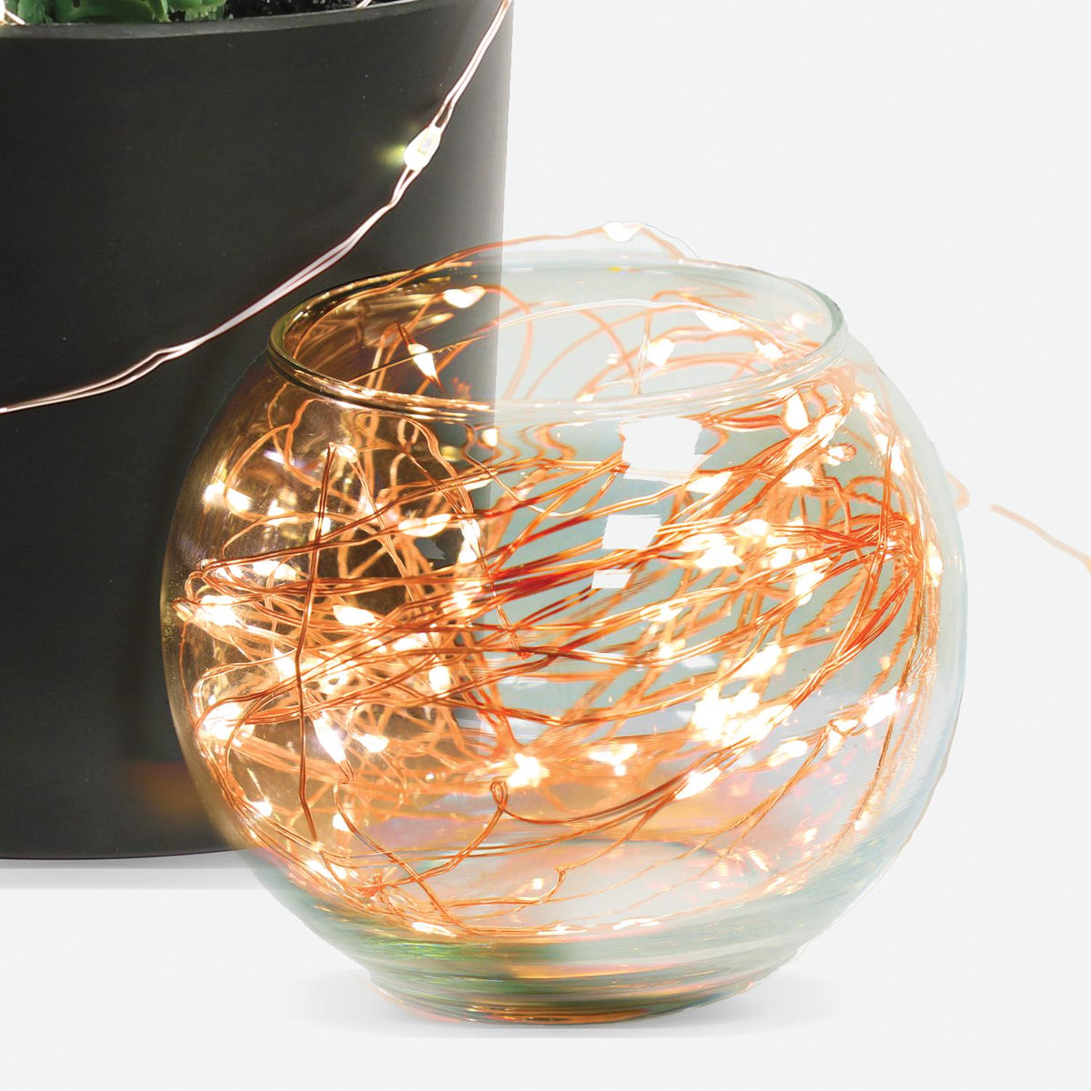 Warm-white copper wire fairy lights coiled inside a round glass bowl beside a potted plant